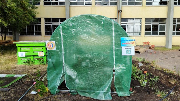 invernadero1